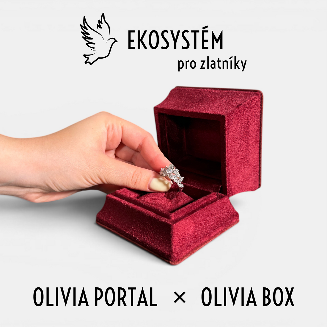 Olivia Portal & Olivia box - Komplexní řešení pro zlatníky