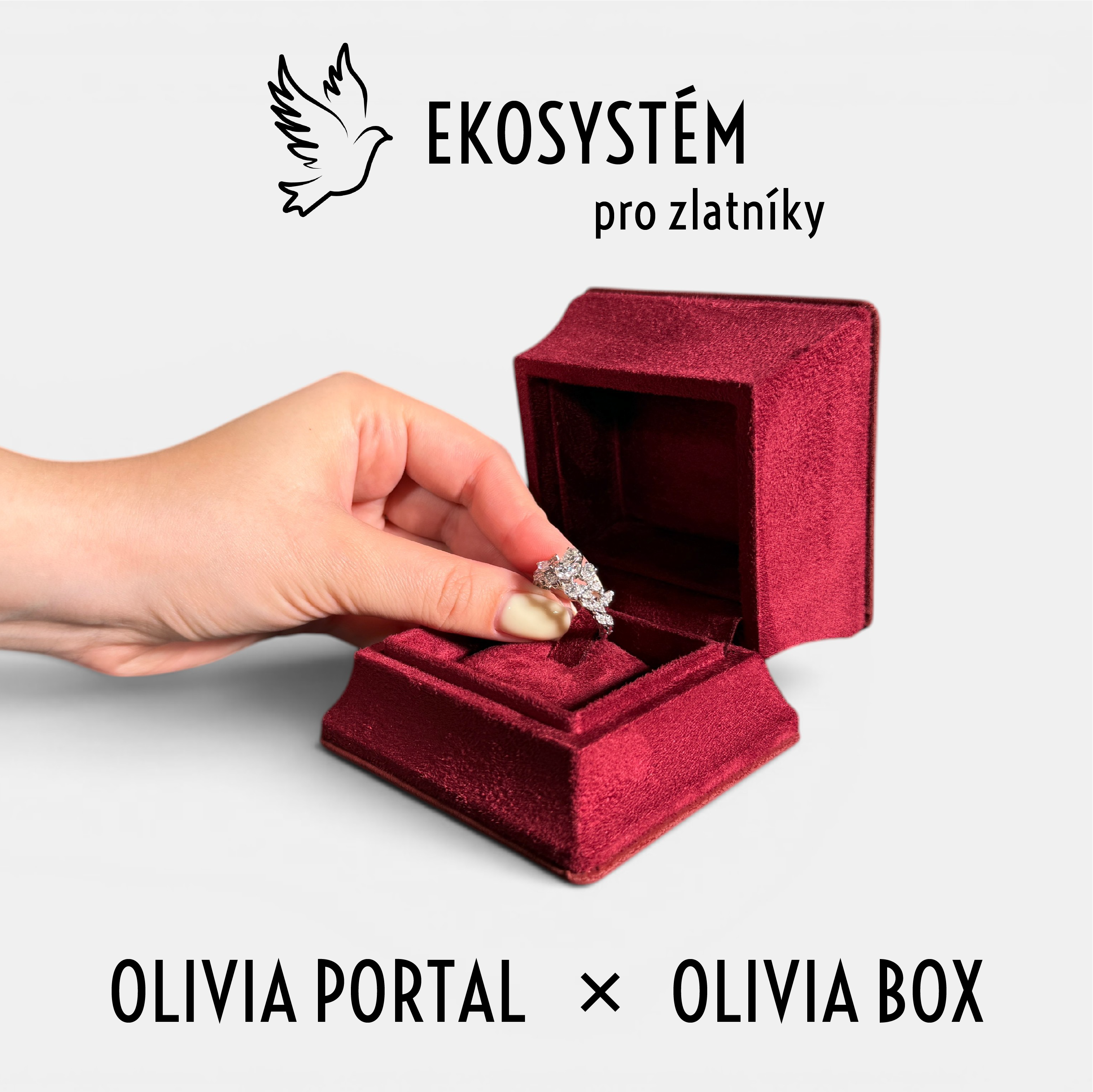 Olivia Portal & Olivia box - Komplexní řešení pro zlatníky